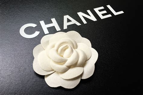 chanel camelia